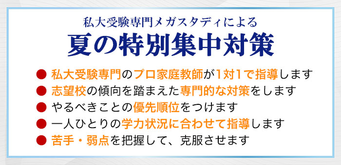 私大受験専門のプロ家庭教師が1対1で指導します