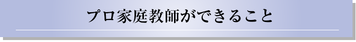 プロ家庭教師ができること