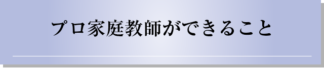プロ家庭教師ができること