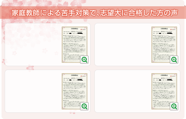 家庭教師による苦手対策で、志望大に合格した方の声