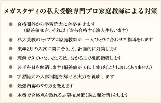 メガスタディの私大受験専門プロ家庭教師による対策