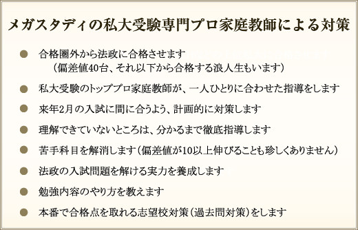 メガスタディの私大受験専門プロ家庭教師による対策