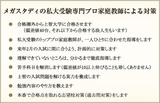 メガスタディの私大受験専門プロ家庭教師による対策