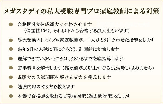 メガスタディの私大受験専門プロ家庭教師による対策