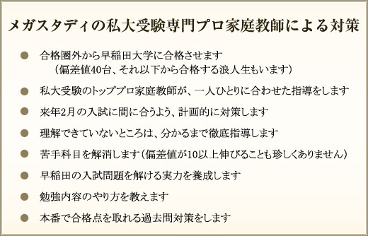 メガスタディの私大受験専門プロ家庭教師による対策